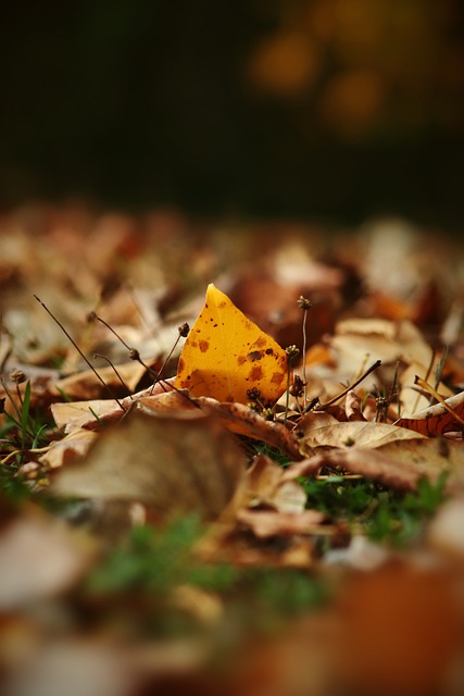 符合这个时 符合这个时