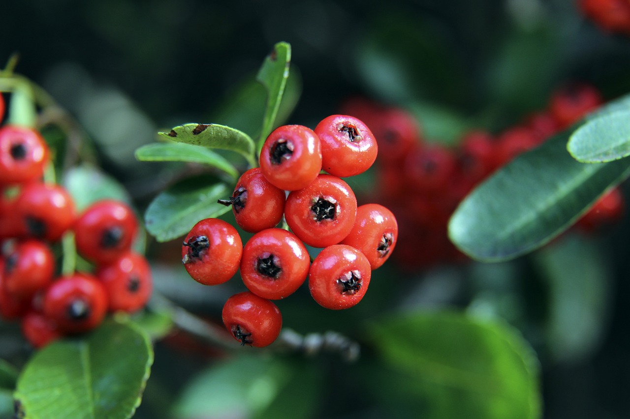 级球队在面 级球队在面