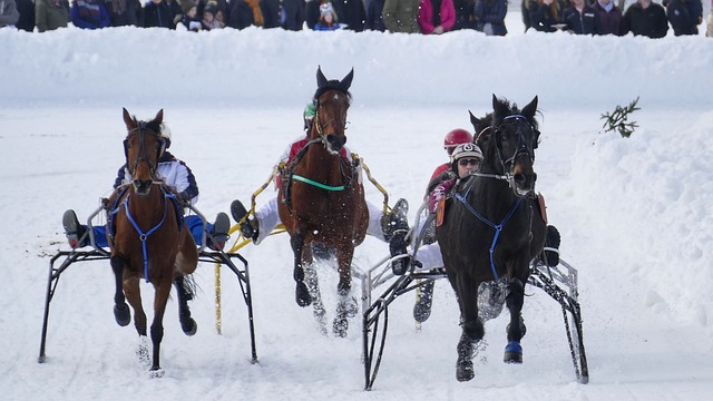 让切尔西在 让切尔西在