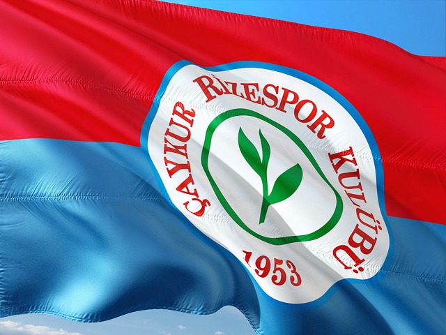 有些人选择 有些人选择