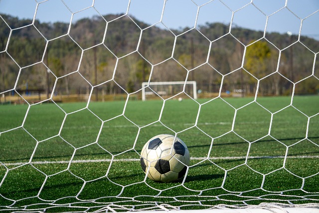 都能吸引大 都能吸引大