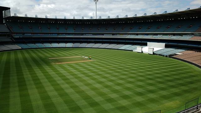 秀不断涌现 秀不断涌现